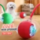 Juguete interactivo para gatos